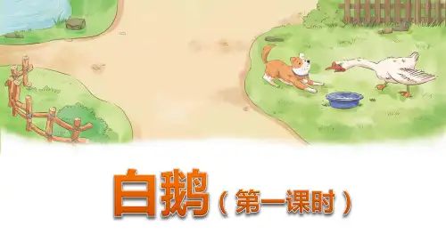 部编版四年级语文下册第15课《白鹅》优质课件(最新)