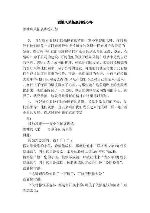 领袖风采拓展训练心得