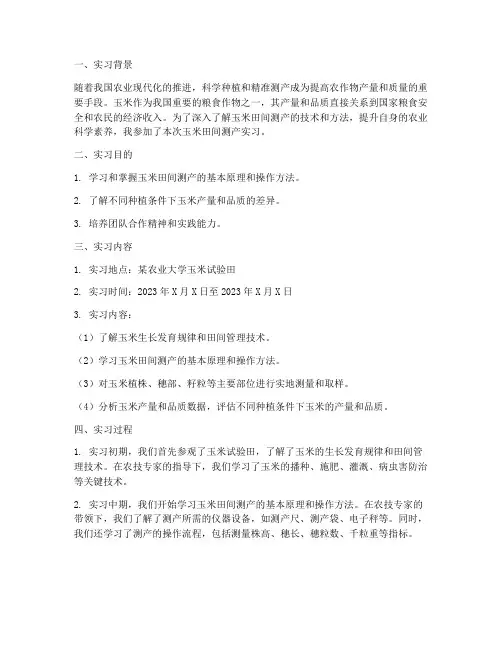 玉米田间测产实习报告