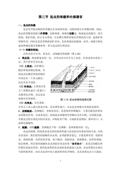 第三节 昆虫的体壁和内部器官