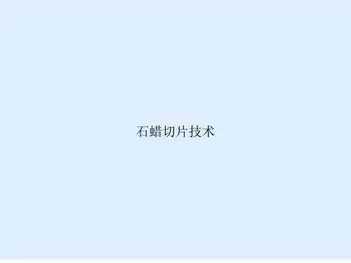 石蜡切片技术
