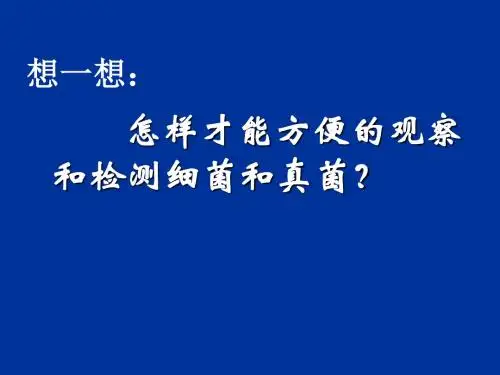 人教版生物八年级上册5.4.1《细菌和真菌的分布》课件 (共55张PPT)