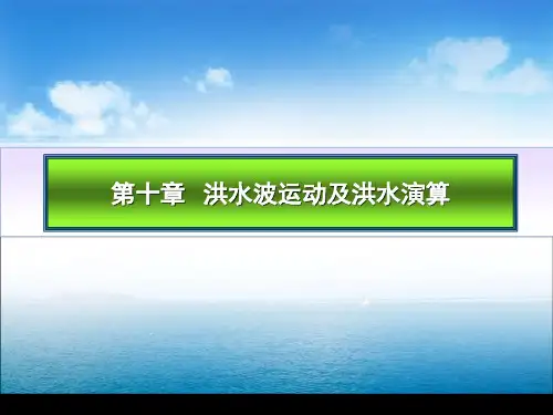 第十章 洪水波