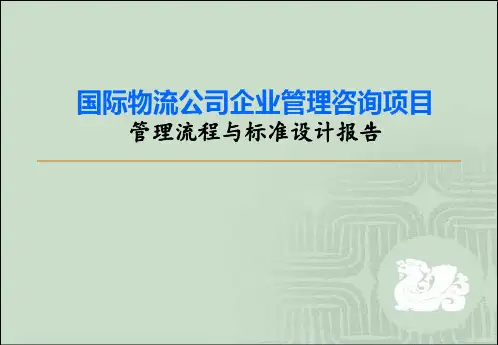 国际物流公司企业管理咨询项目管理流程与标准设计报告