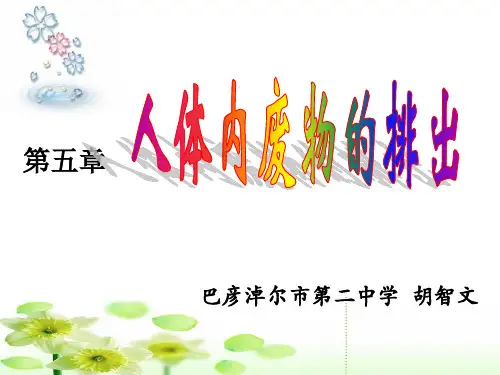 人体内废物的排出说课课件.ppt