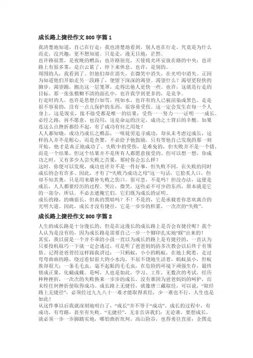 捷径作文800字作文高中