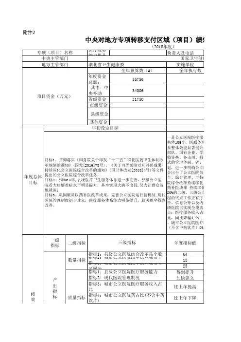 整体支出绩效自评表