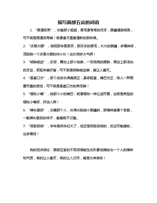 描写面部五官的词语