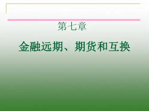 金融市场学课件第七章-文档资料
