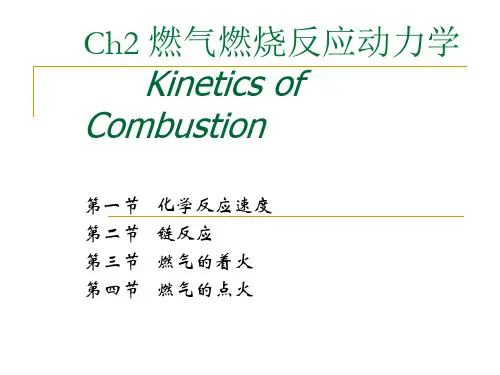 ch2 燃气燃烧反应动力学