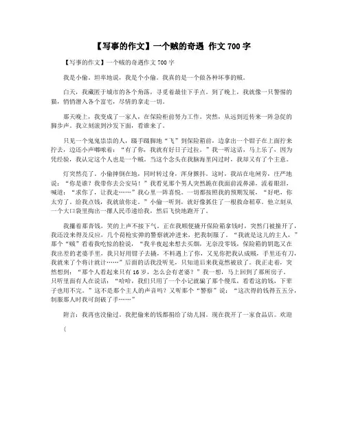 【写事的作文】一个贼的奇遇 作文700字