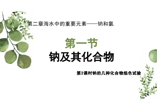 2.1.2钠的几种化合物焰色试验课件高一上学期化学人教版