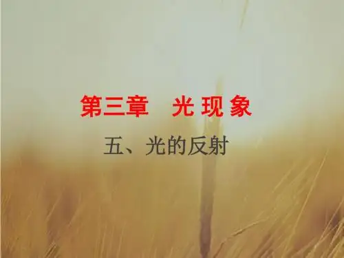 2017-2018学年苏科版八年级物理上册课件：3.5 光的反射 (共44张PPT)