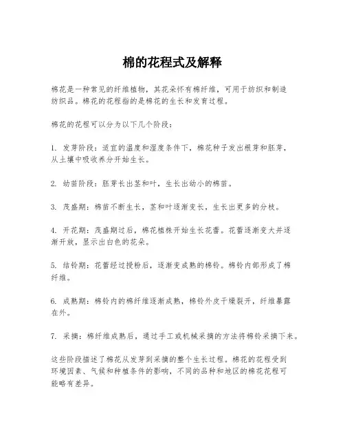 棉的花程式及解释