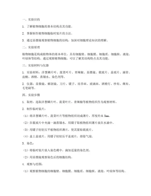 实训报告观察植物细胞