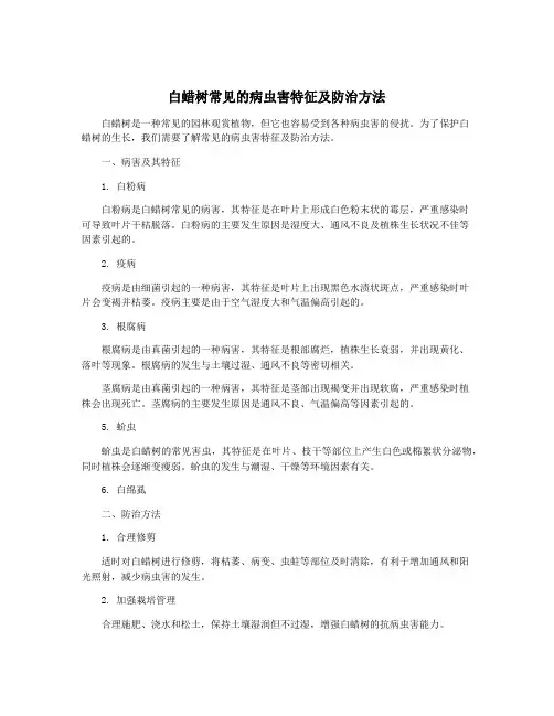 白蜡树常见的病虫害特征及防治方法