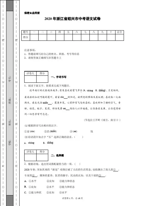 2020年浙江省绍兴市中考语文试卷(含详细解析)