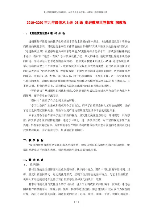 2019-2020年九年级美术上册 05课 走进微观世界教案 湘教版