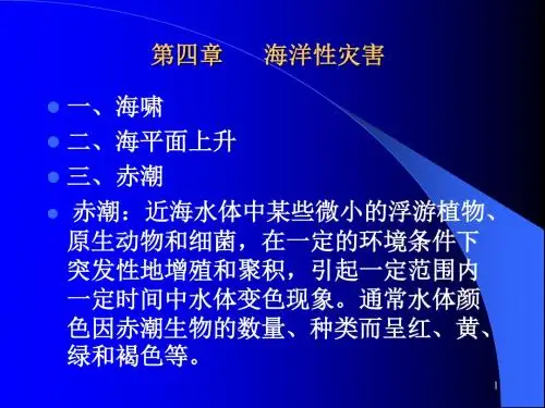 灾害学     海洋性灾害