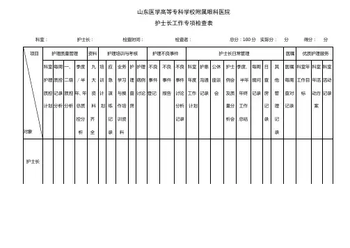 护士长考核专项检查表