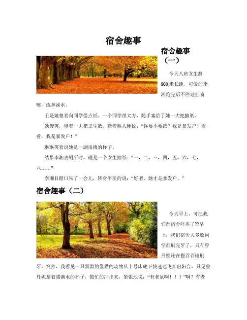 宿舍趣事(共10篇)