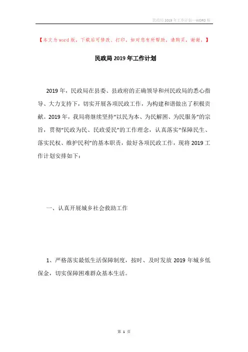 民政局2019年工作计划
