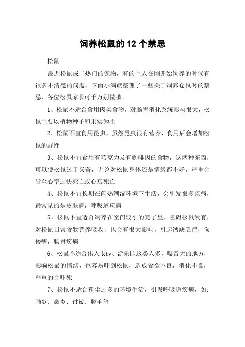 饲养松鼠的12个禁忌