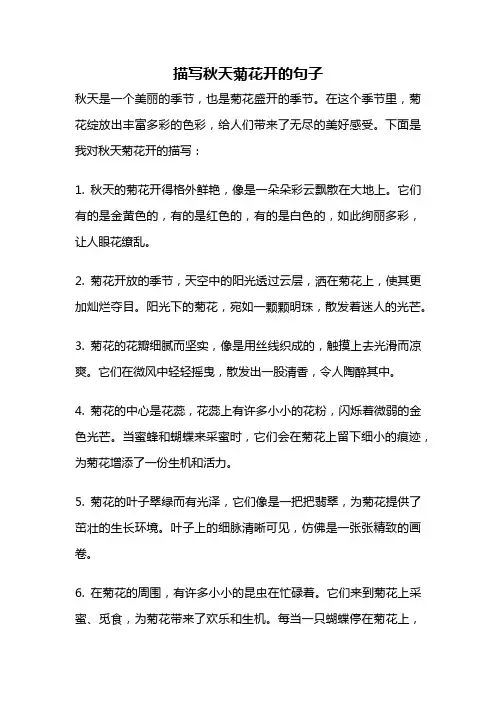 描写秋天菊花开的句子