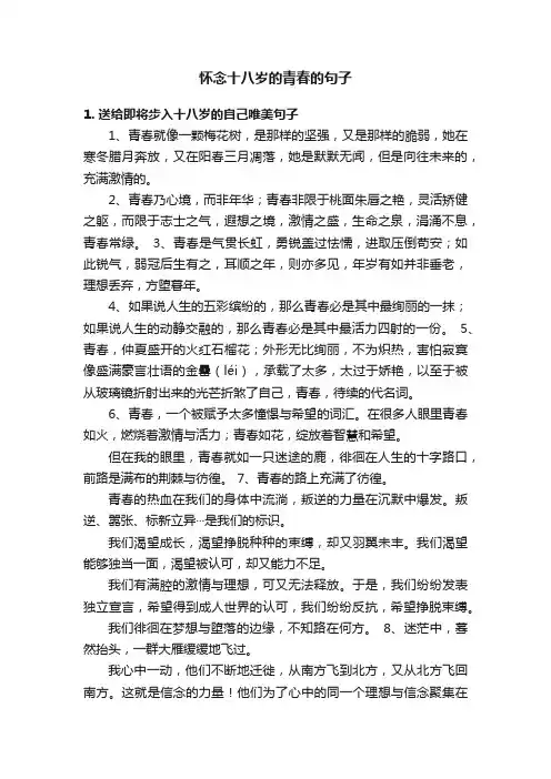 怀念十八岁的青春的句子