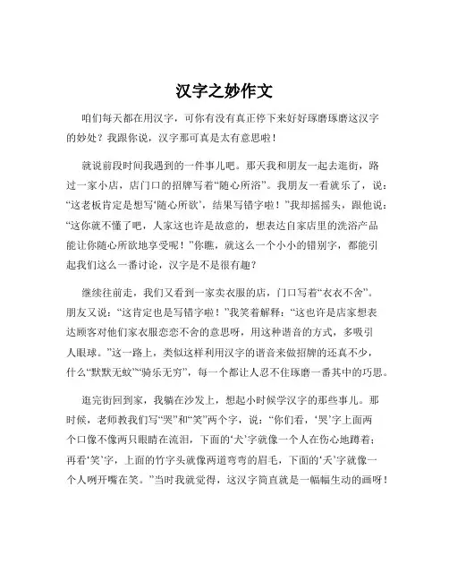汉字之妙作文