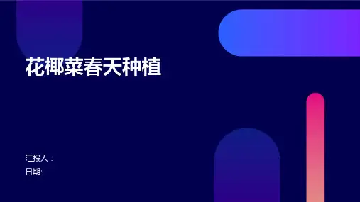 花椰菜春天种植