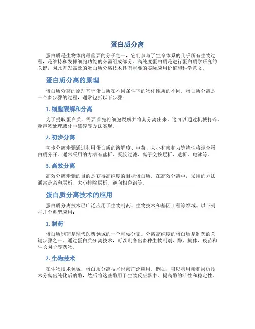 蛋白质分离