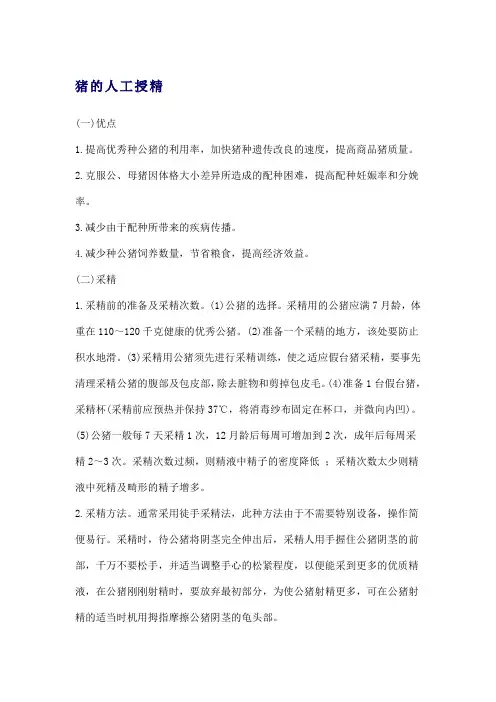 猪的人工授精