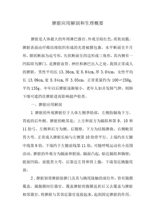 脾脏应用解剖和生理概要