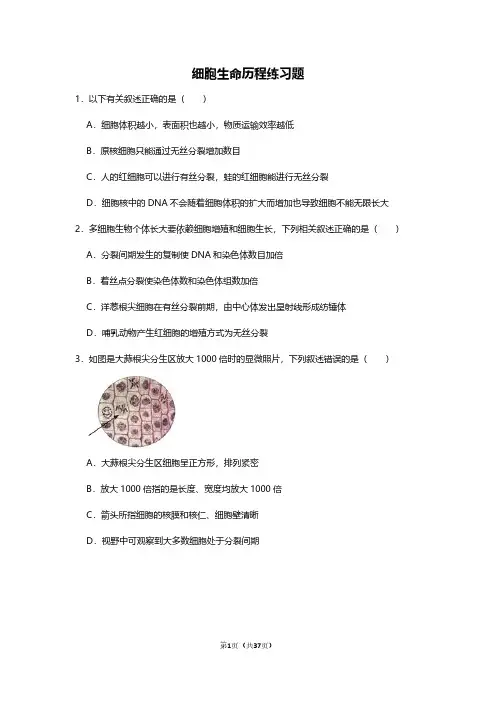 细胞生命历程练习题
