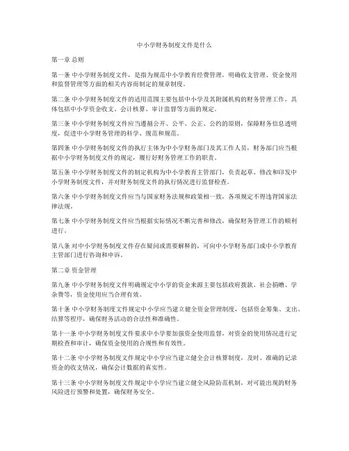 中小学财务制度文件是什么