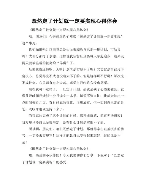 既然定了计划就一定要实现心得体会