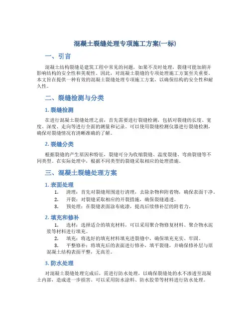 混凝土裂缝处理专项施工方案(一标)