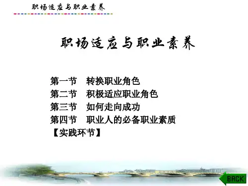 大学生就业指导实用教程：职场适应与职业素养