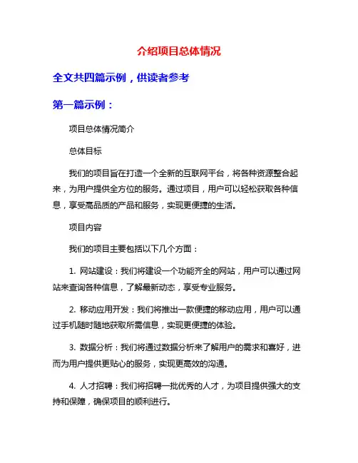 介绍项目总体情况