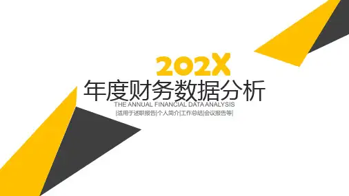 商务简洁财务分析报告ppt模板
