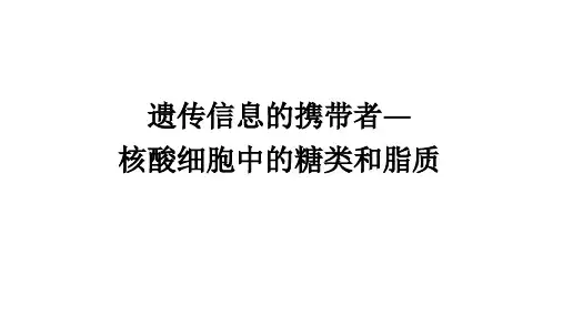 新高考全国通用生物一轮知识点复习1.1.4遗传信息的携带者——核酸 细胞中的糖类和脂质