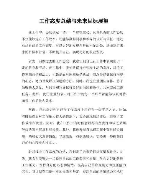 工作态度总结与未来目标展望