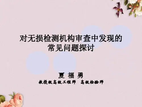 对无损检测机构审查中发现的常见问题探讨(PPT 104页)