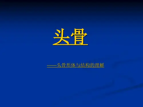 石膏头像素描入门ppt分析解析