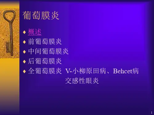 眼科学5葡萄膜.ppt
