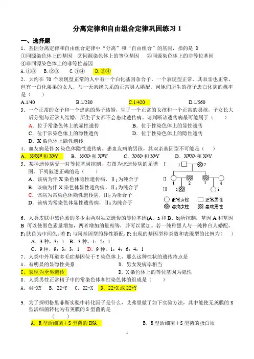 分离定律和自由组合定律巩固练习