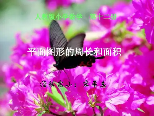 六年级数学平面图形的周长和面积