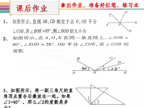 鲁教版(五四制)六下数学5.多边形和圆的初步认识习题课复习(共14张ppt)