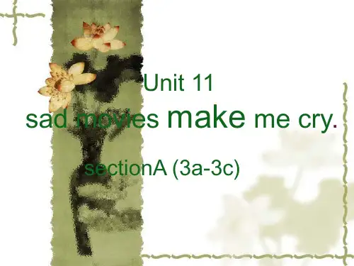 人教九年级全一册 Unit11 SectionA 3a-3c  课件 (1)